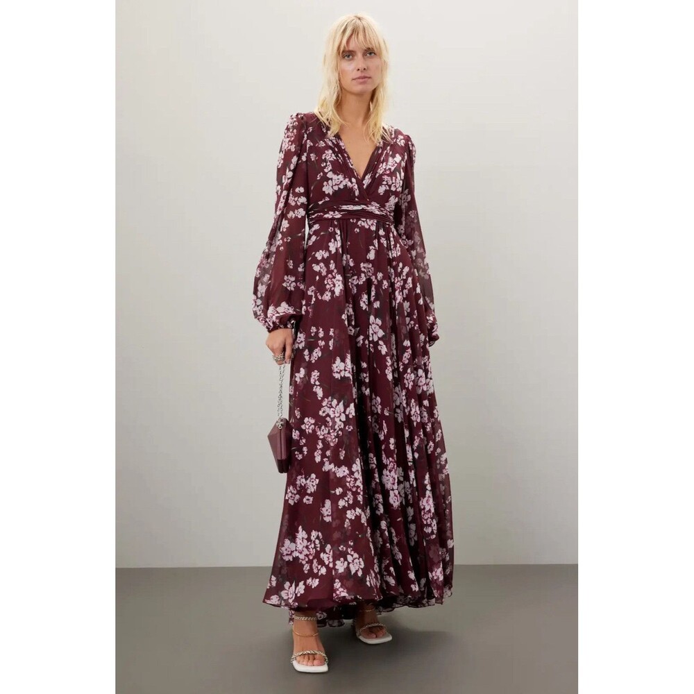 Ieena Macdougal Womens Sz 2 Chiffon Floral V-Neck A-Line Maxi Dress Formal Prom